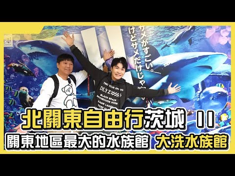 關東地區最大水族館‼️Aqua World茨城縣大洗水族館🐬|北關東自由行-茨城II|小資狼孩678 EP.70