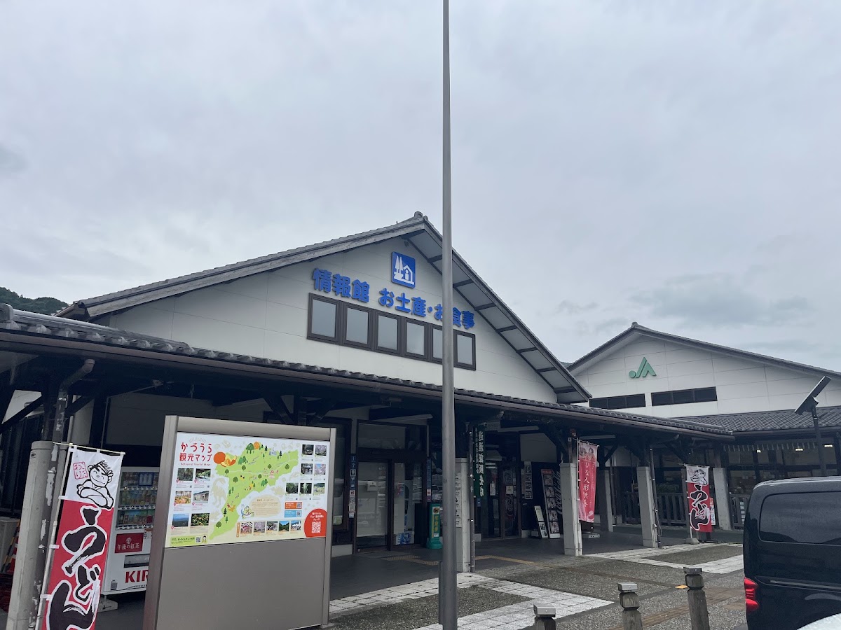 道之驛 雛之里勝浦(道の駅 ひなの里かつうら) 實景照片 3