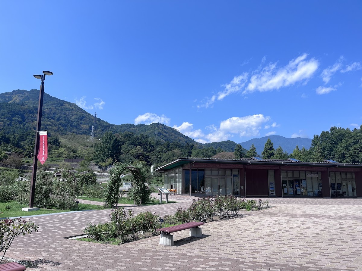 道之驛 身延(道の駅 みのぶ) 實景照片 9