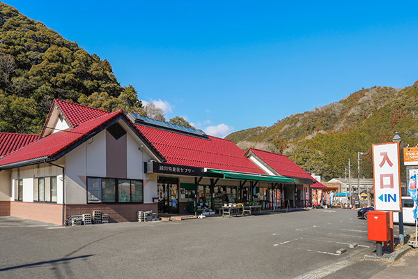 道之驛 Kinahaiya城川(道の駅 きなはい屋しろかわ) 實景照片 1