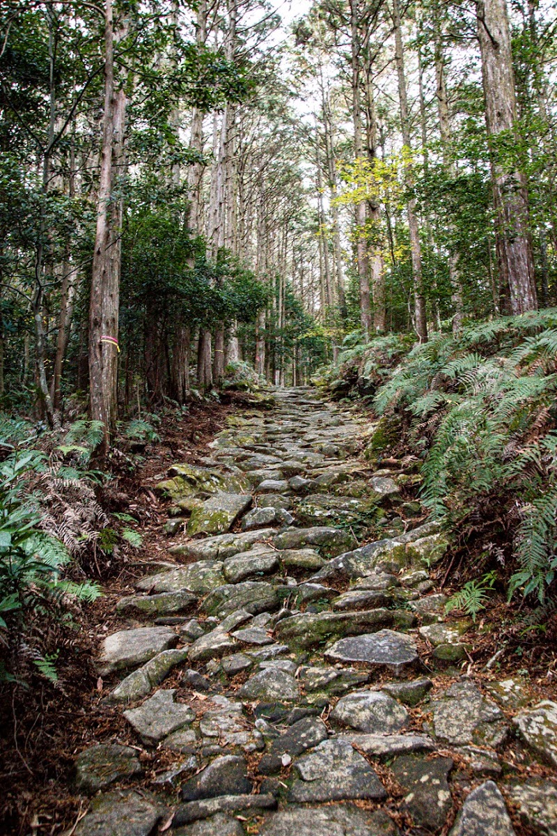 熊野古道 馬越峠 實景照片 6