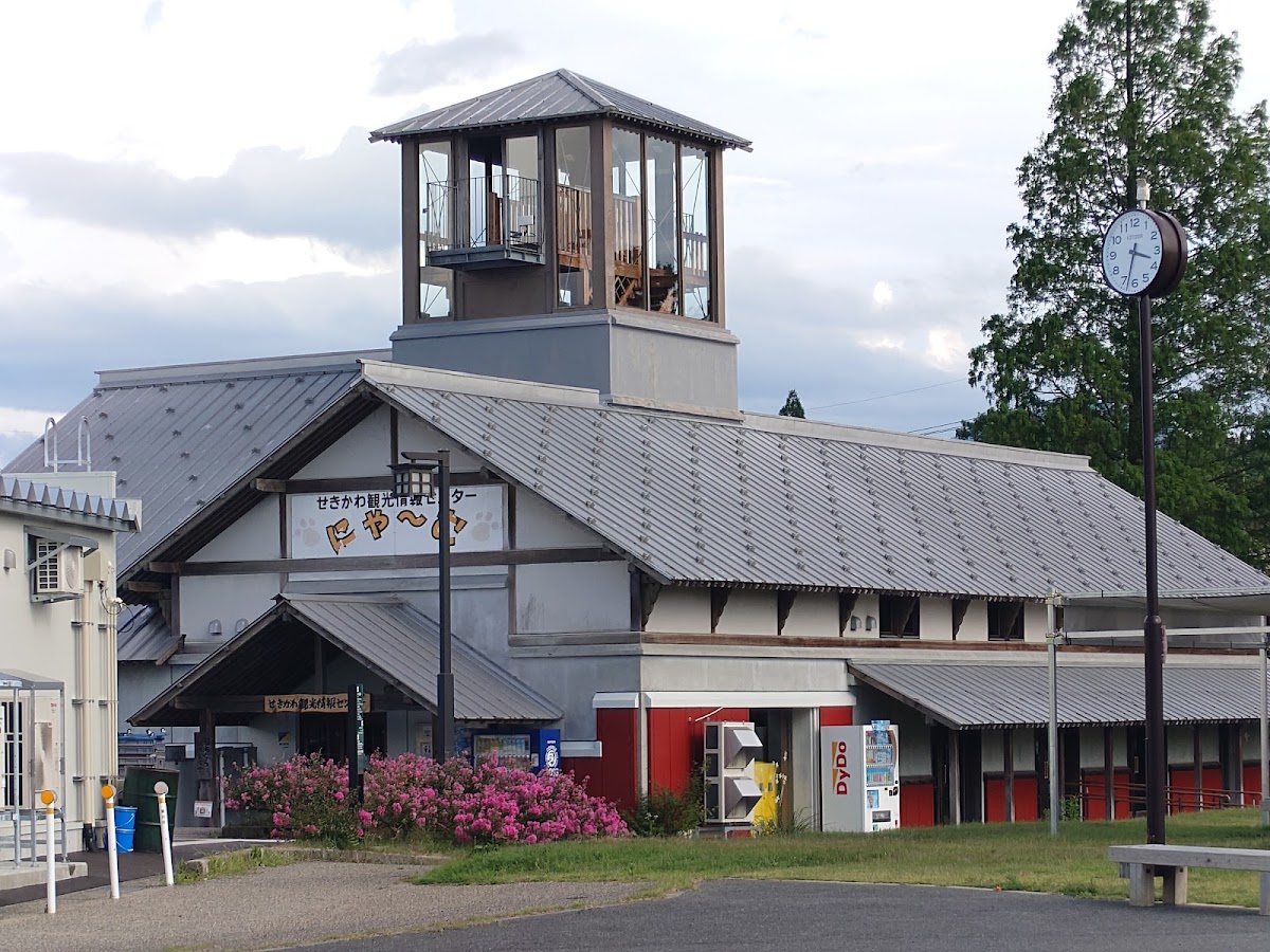 道之驛 關川(道の駅 関川) 實景照片 1
