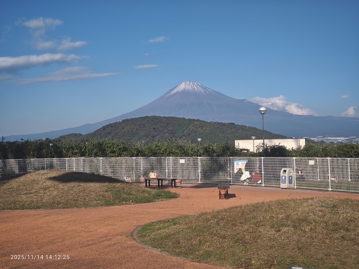 富士川服務區 上行(富士川SA) 實景照片 9