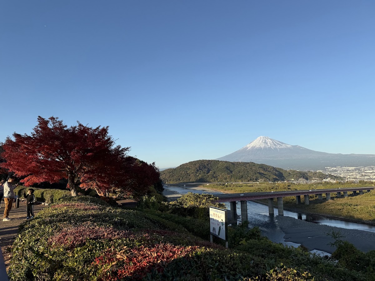 富士川服務區(下行)(富士川SA 下り) 實景照片 3