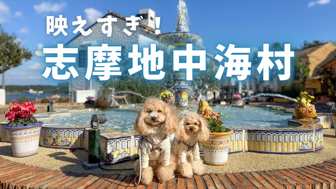愛犬と海外!?車で行ける地中海に行ってきたよ🐾