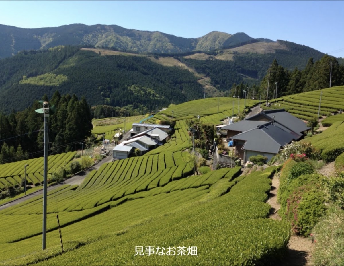 道之驛 佛雷中川根茶茗館(道の駅 フォーレなかかわね茶茗舘) 實景照片 9