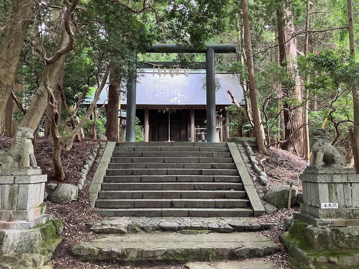 綠蔭環繞的千早神社階梯與本殿