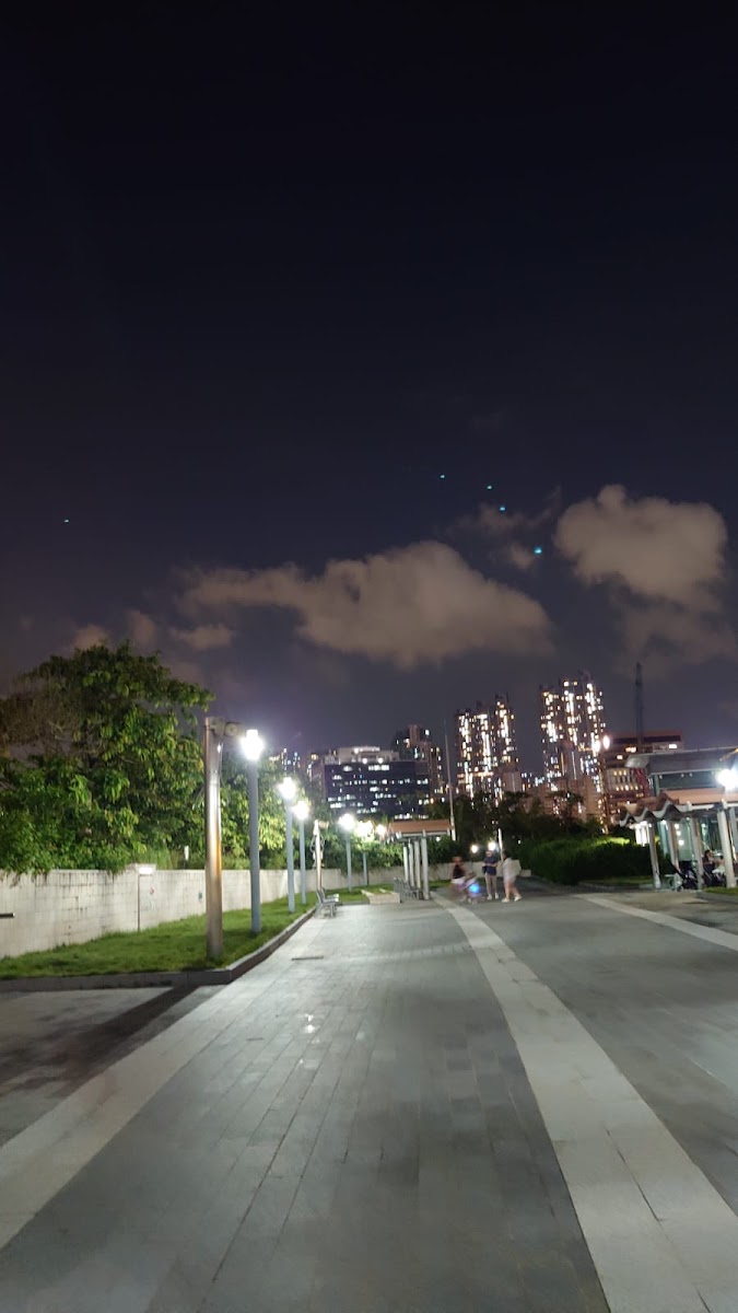 港鐵九龍站停車場 實景照片 7