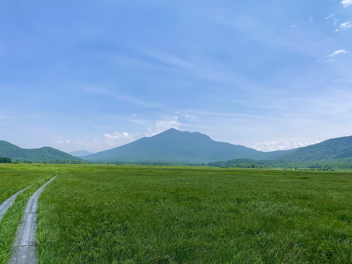 綠意盎然的濕原與遠山木棧道