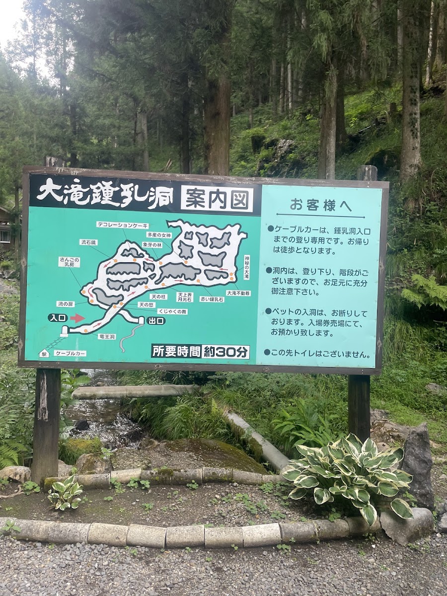大瀑布鍾乳洞(大滝鍾乳洞) 實景照片 9