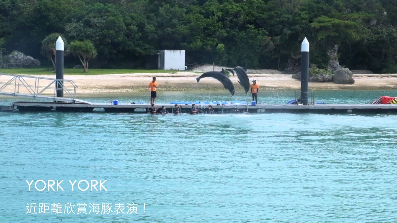 沖繩自駕遊 : 元氣村海豚體驗＋水上活動