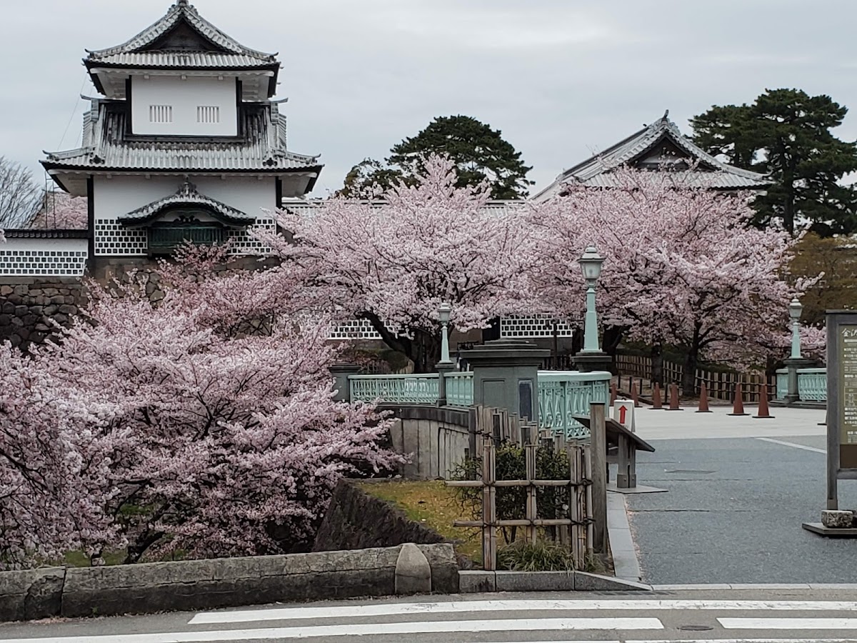 卯辰山公園 實景照片 8