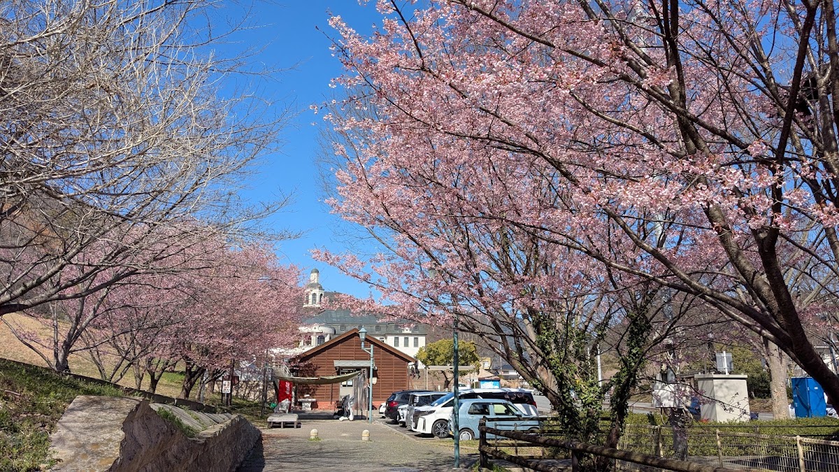 道之驛 第九之里（道の駅 第九の里） 實景照片 8