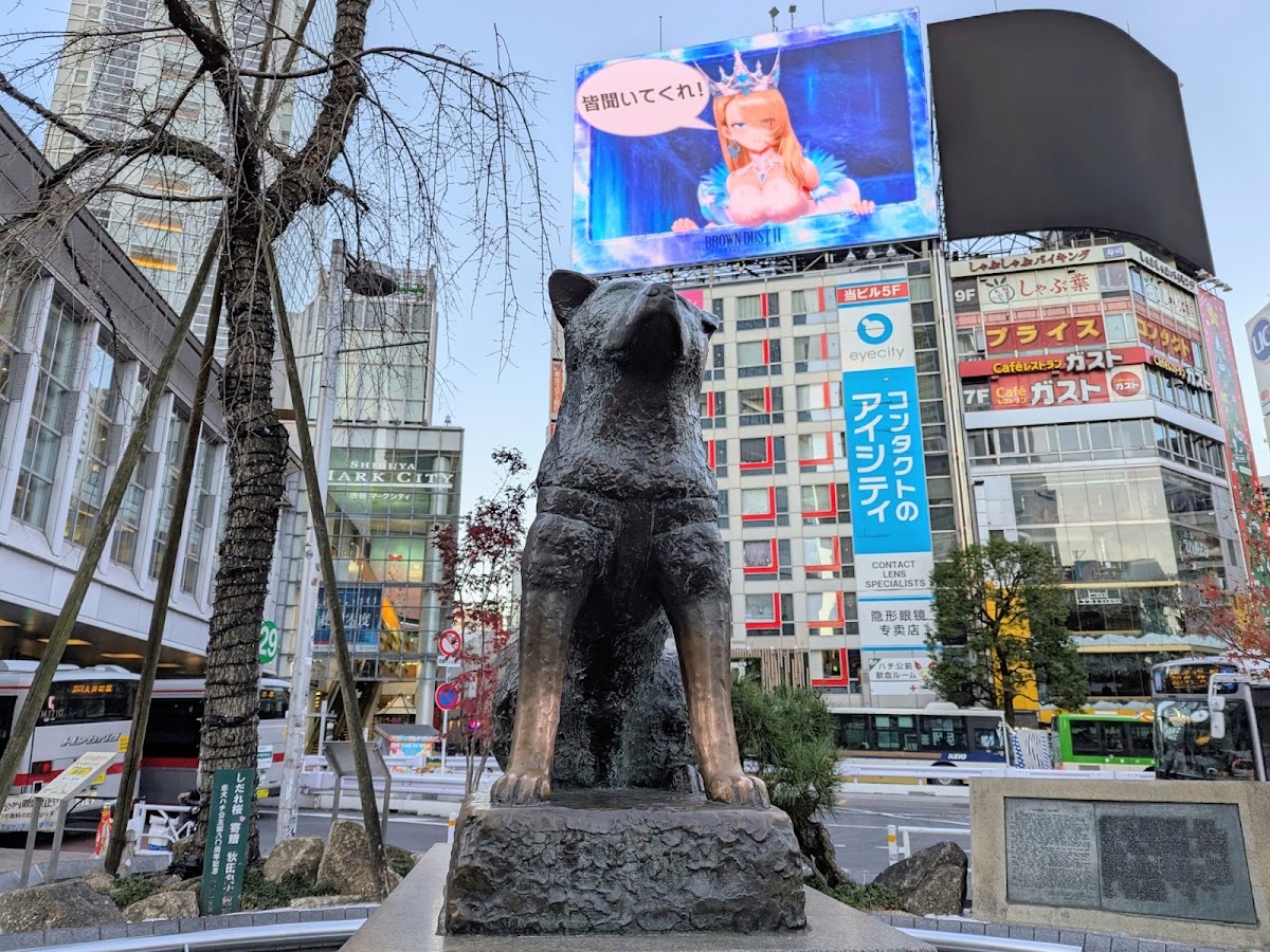 JR澀谷站(渋谷駅) 實景照片 5