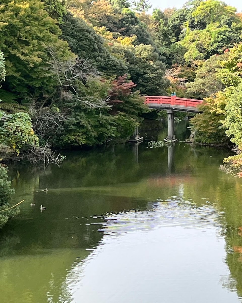 護城河與紅色拱橋風景