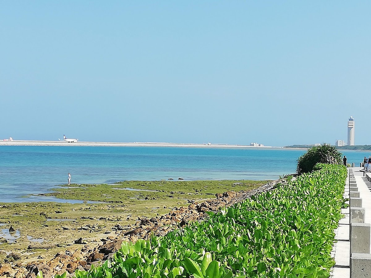 瀨長島Umikaji Terrace（瀬長島ウミカジテラス） 實景照片 9