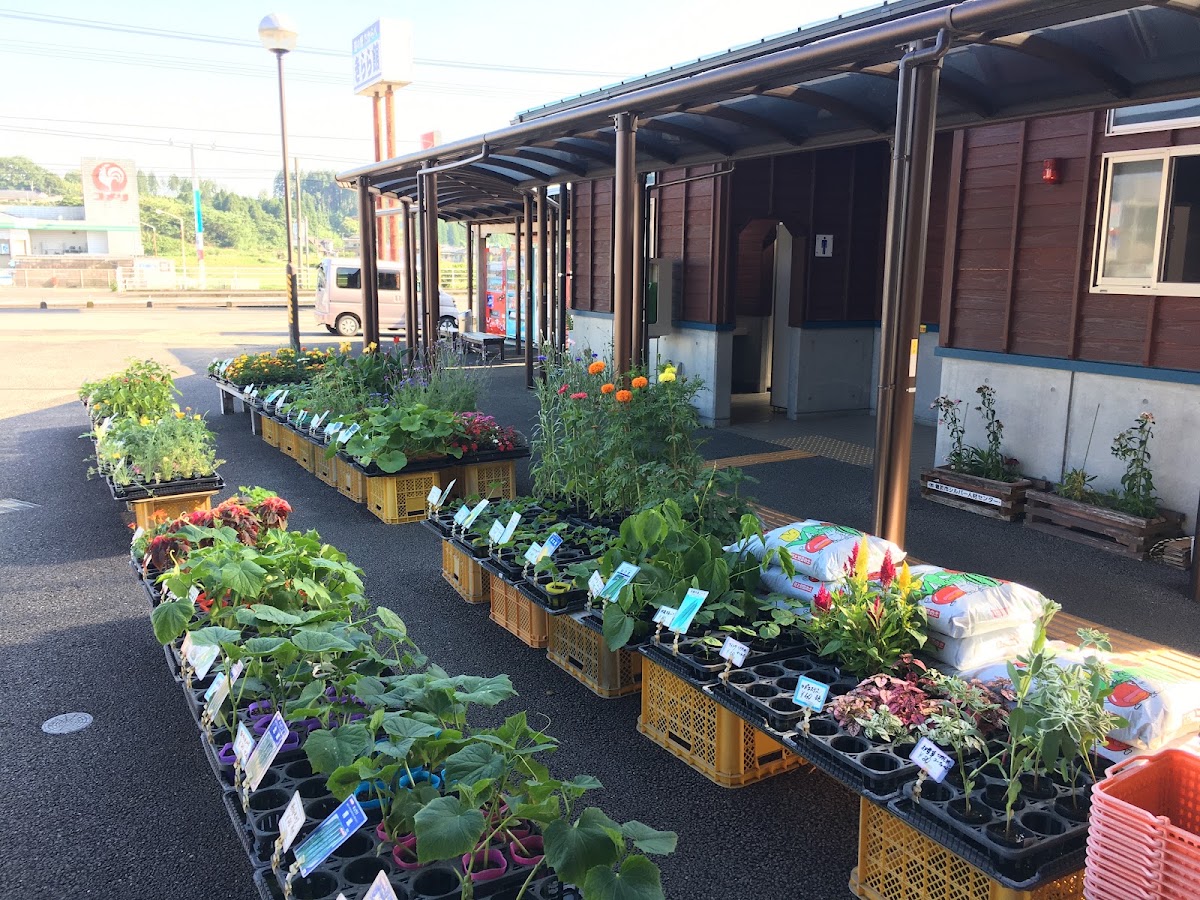 道之驛 財部（道の駅 たからべ） 實景照片 7