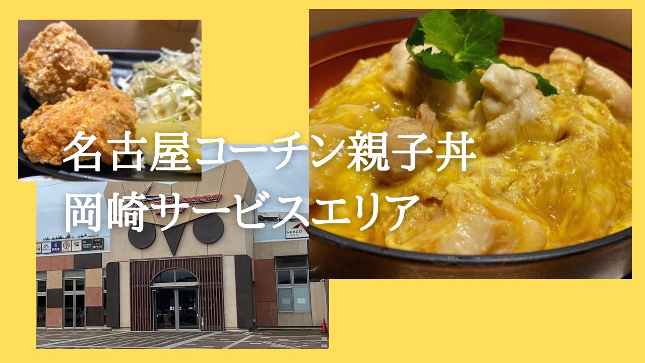 【新東名高速道路】伊藤和四五郎商店 名古屋コーチン親子丼【岡崎サービスエリア下り】