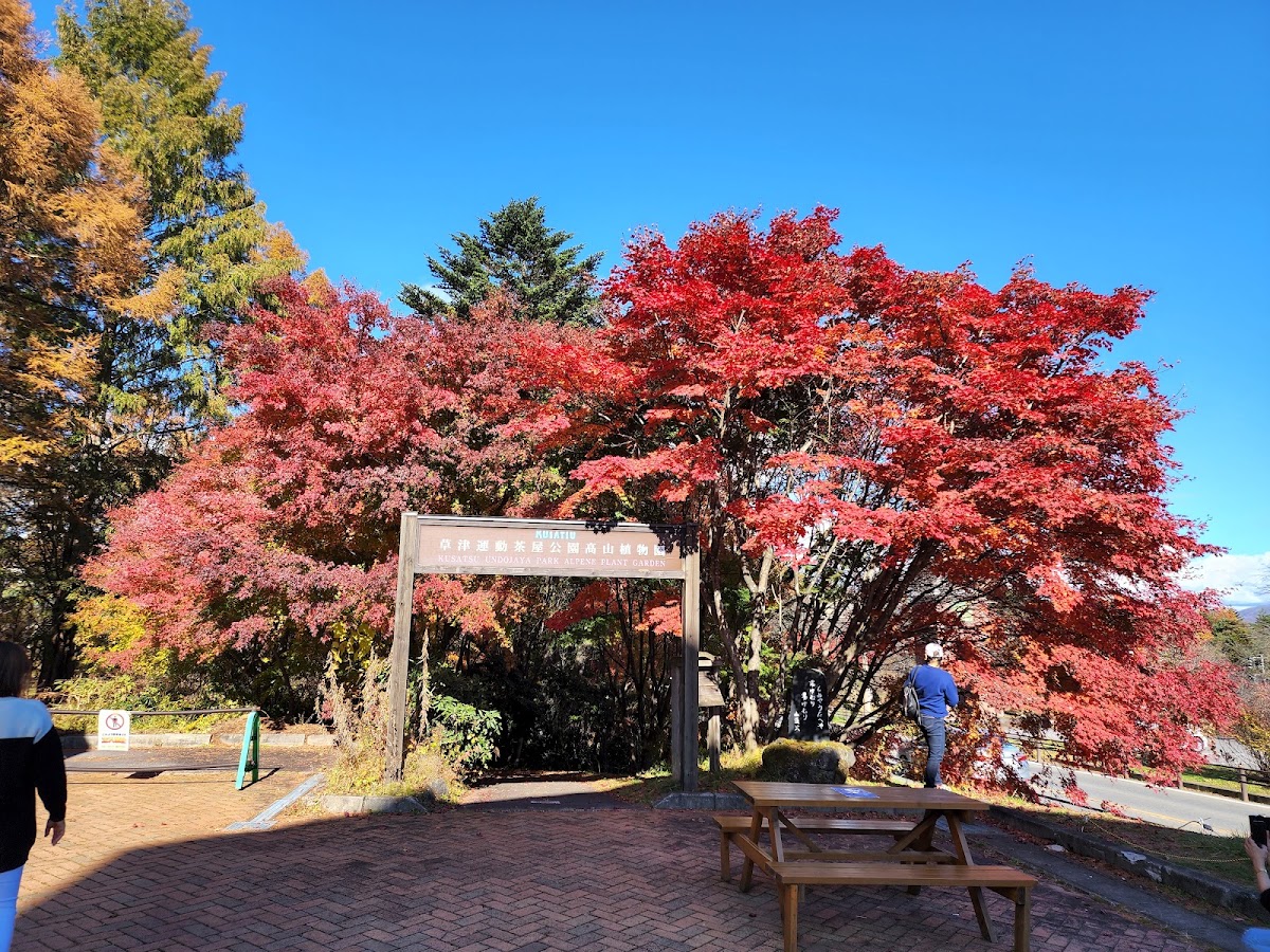 道之驛 草津運動茶屋公園（道の駅 草津運動茶屋公園） 實景照片 9