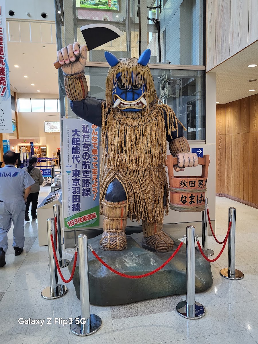 道之驛 大館能代機場(道の駅 大館能代空港) 實景照片 1