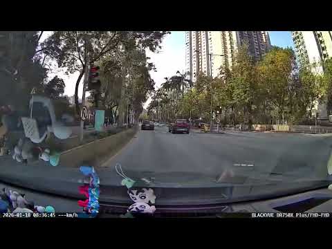 車CAM直擊 - 上水天平路 單車女捱貨Van撞 昏迷送院搶救不治