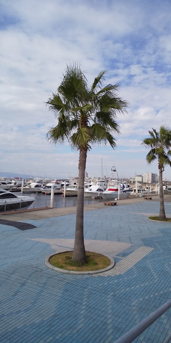 泉佐野關空瑪莉娜海之驛（いずみさの関空マリーナ 海の駅） 實景照片 8