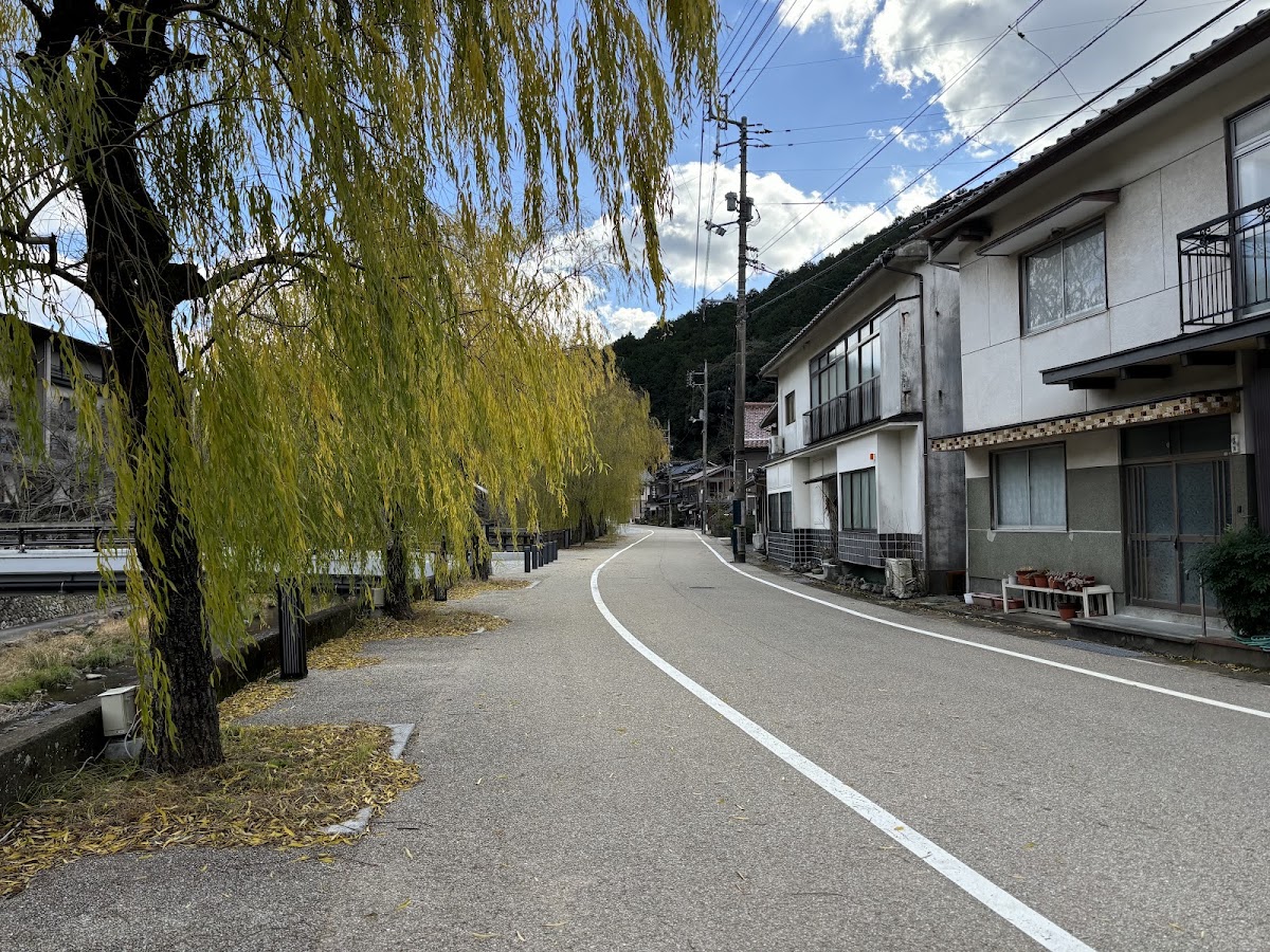 溫泉街與溪畔垂柳風景
