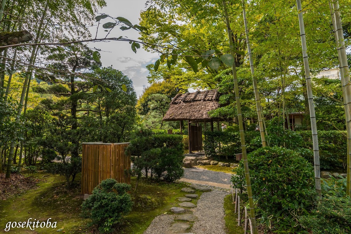 日本庭園 有樂苑（日本庭園 有楽苑） 實景照片 9