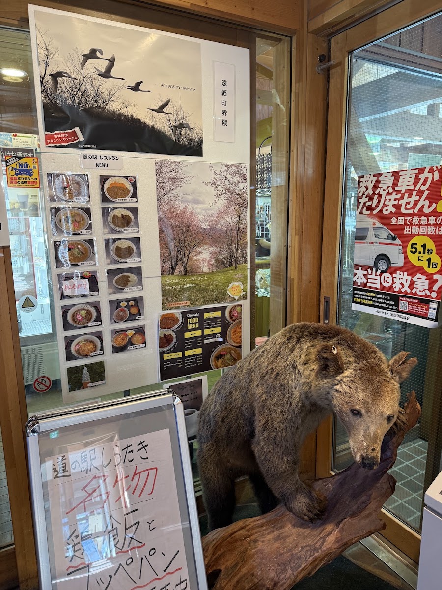 道之驛 白瀧（道の駅 しらたき） 實景照片 8