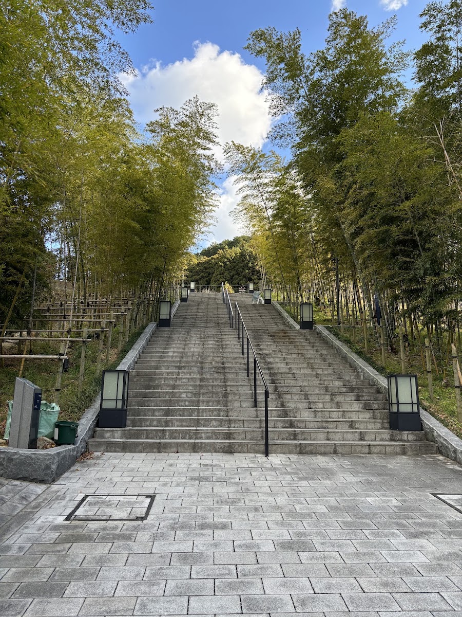 竹林間的寬廣石階步道