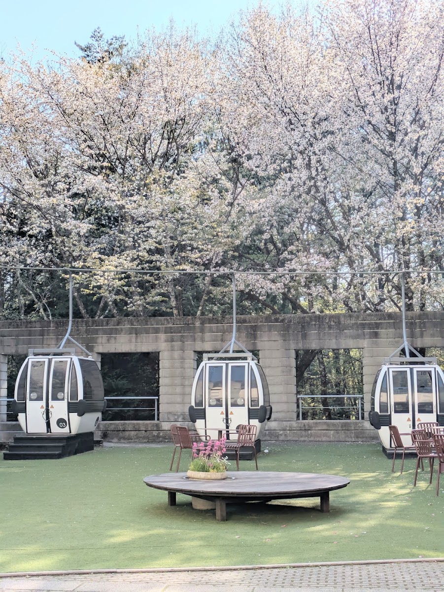 丸山咖啡 Risonare八岳店(丸山珈琲 リゾナーレ八ヶ岳店) 實景照片 9