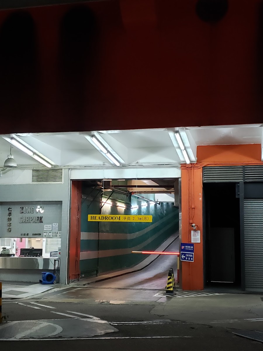 紅磡仁孚停車場大廈停車場 (Zung Fu Car Park Building) 實景照片 8
