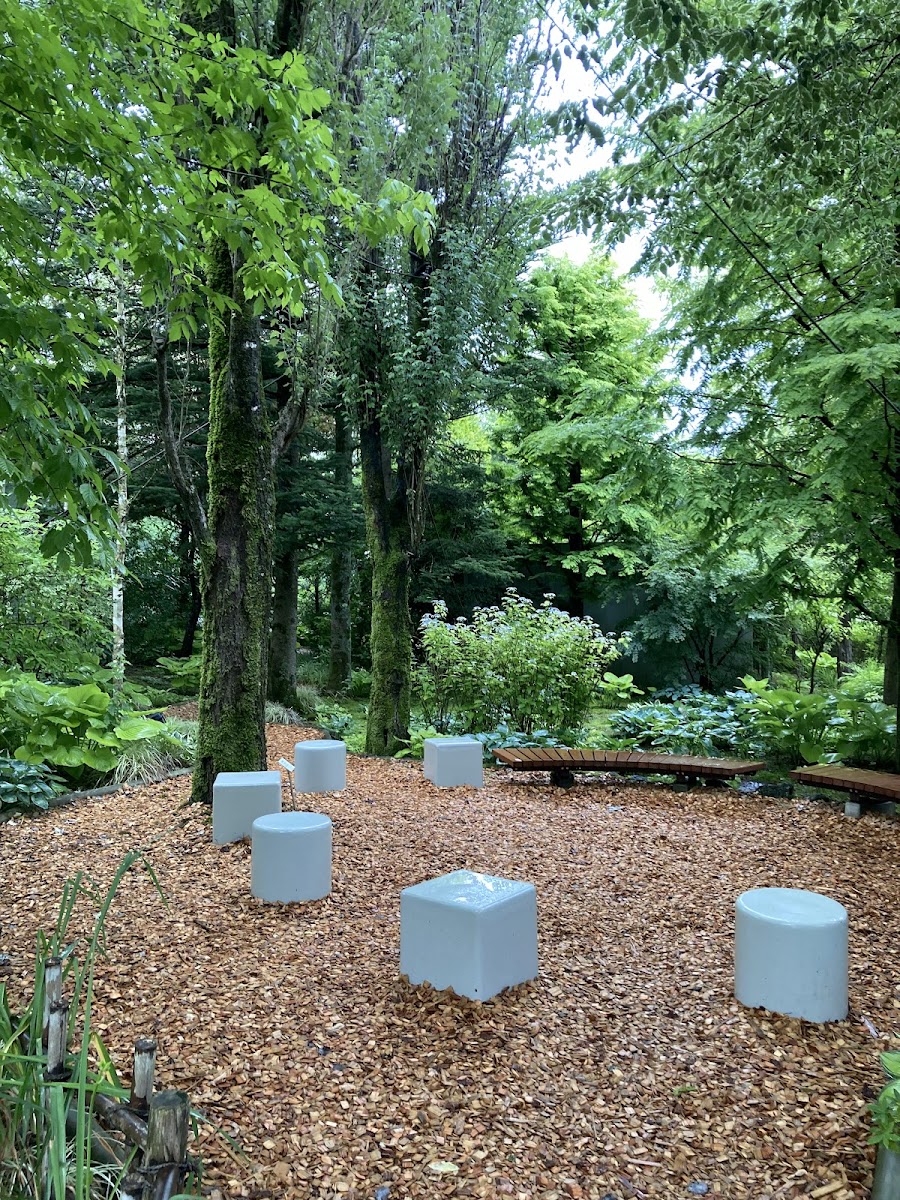 輕井澤千住博美術館(軽井沢千住博美術館) 實景照片 10