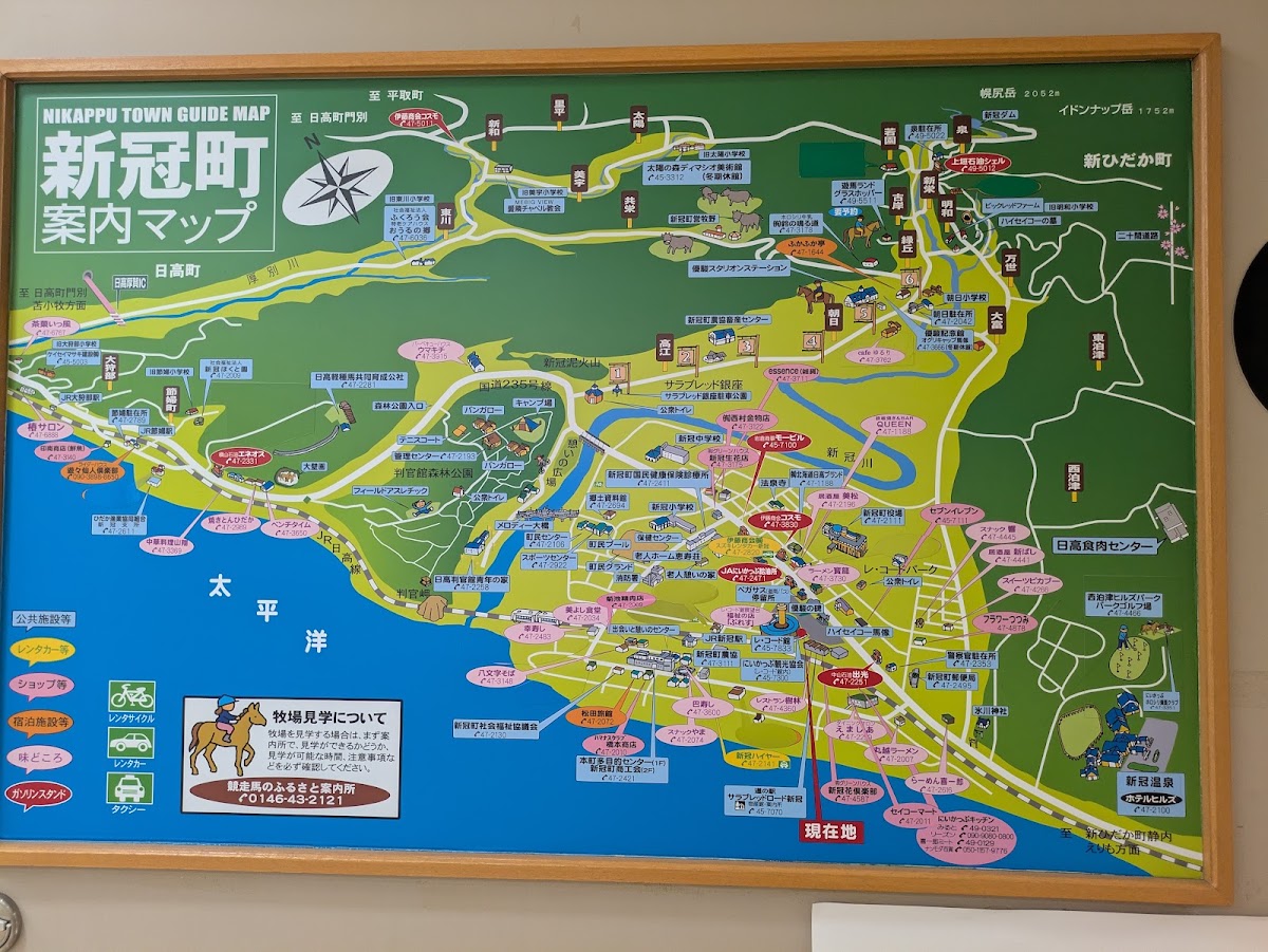 道之驛 純種馬之路新冠(道の駅 サラブレッドロード新冠) 實景照片 9