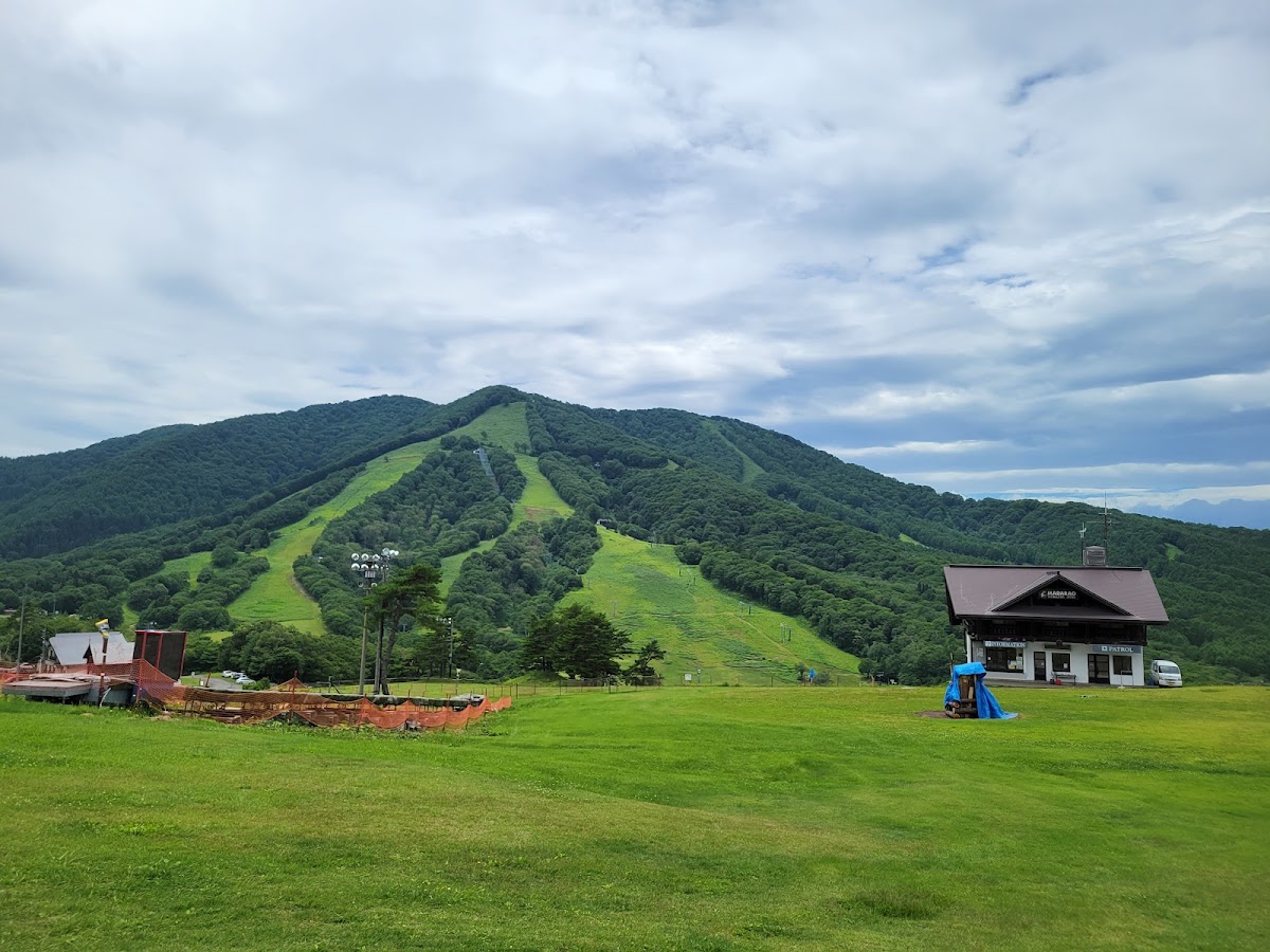 斑尾高原滑雪場（斑尾高原スキー場） 實景照片 10