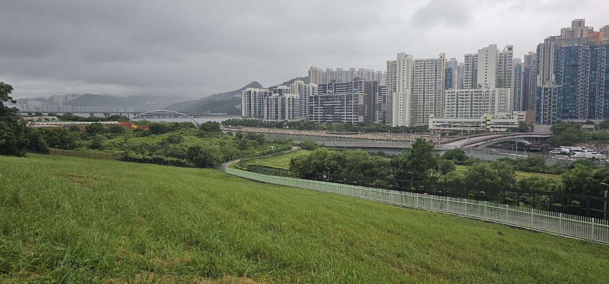 環保大道寵物公園停車場 實景照片 8