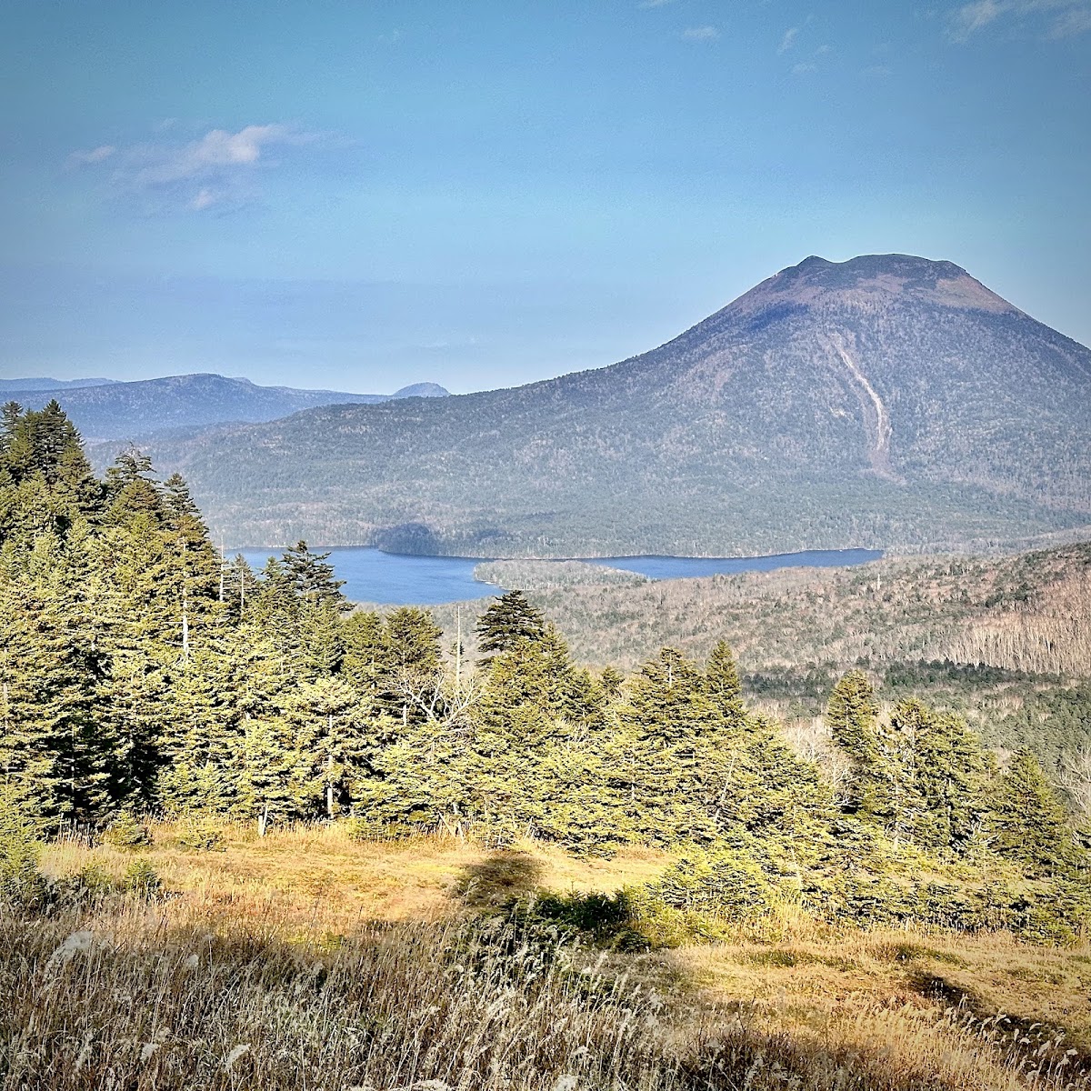 樹林與遠方山岳湖泊景觀