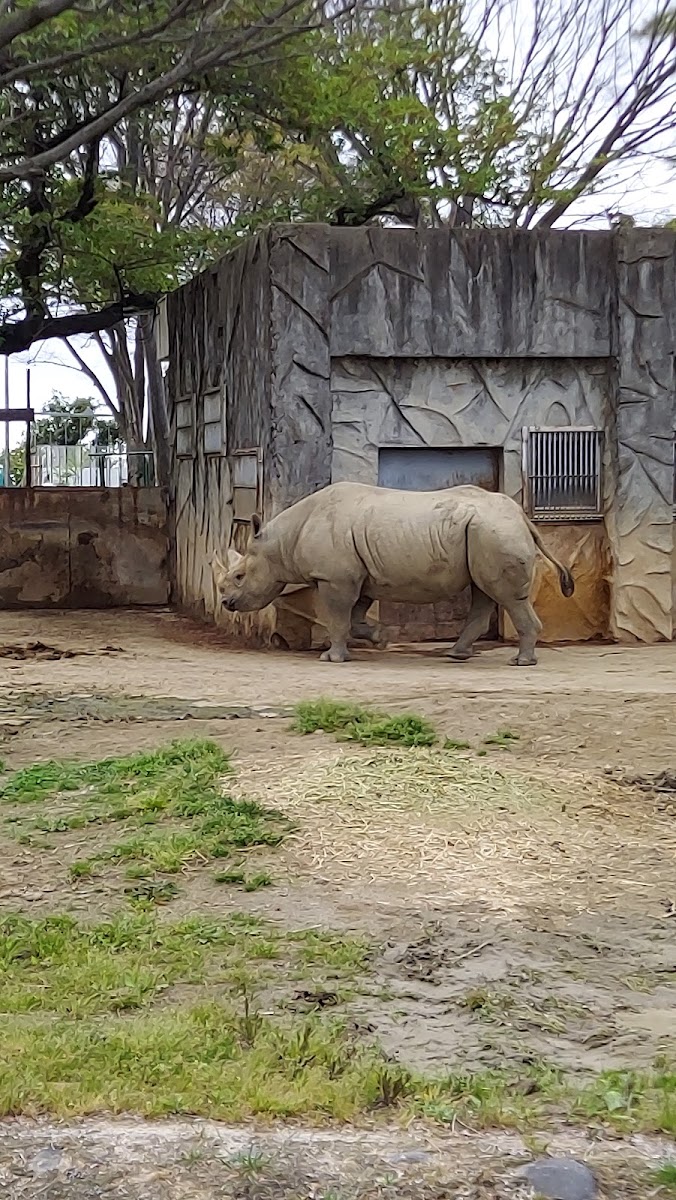 日立市神峰動物園（日立市かみね動物園） 實景照片 9