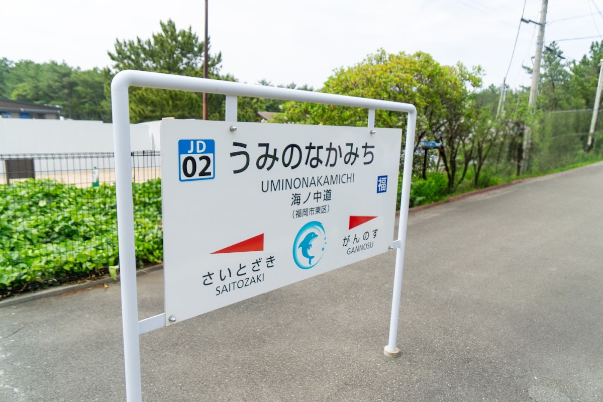 福岡海之中道海之驛(ふくおか・うみのなかみち海の駅) 實景照片 6