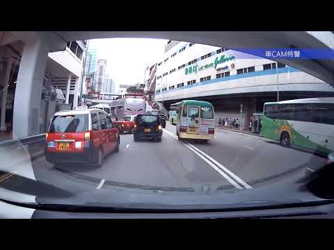車CAM直擊 - 打風即刻倒瀉蘿蟹 一隻 兩隻 三隻 庫房多謝你哋
