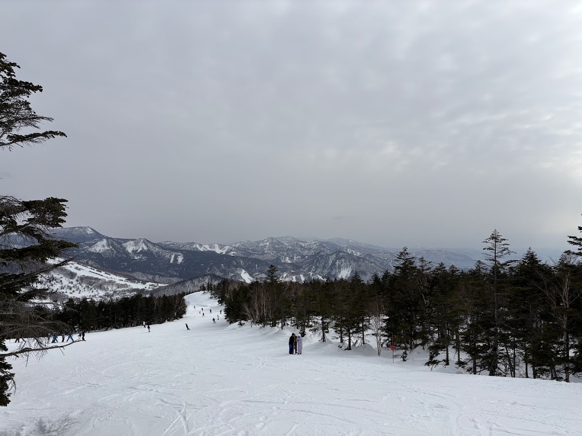 志賀高原燒額山滑雪場（志賀高原 焼額山スキー場） 實景照片 9