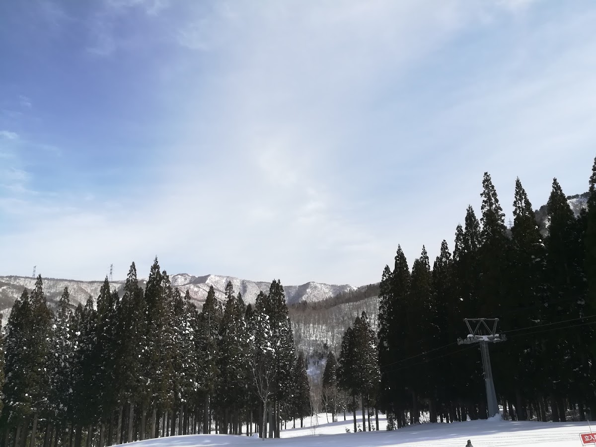 苗場滑雪場(苗場スキー場) 實景照片 7