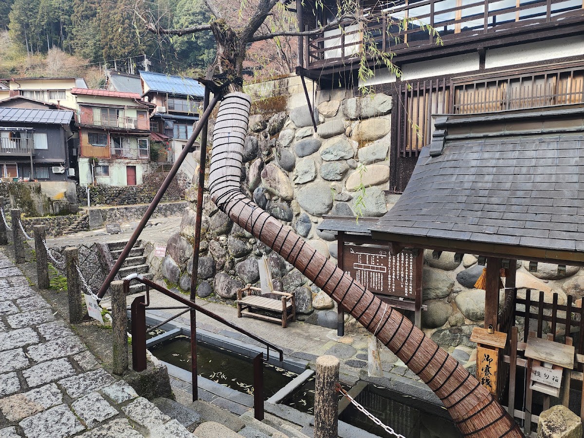 宗祇水神社與柳樹景觀