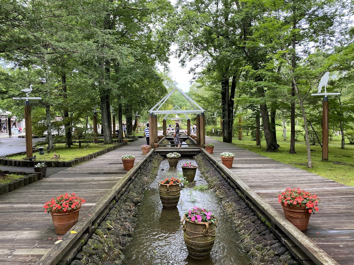 輕井澤塔利亞森（軽井沢タリアセン） 實景照片 5