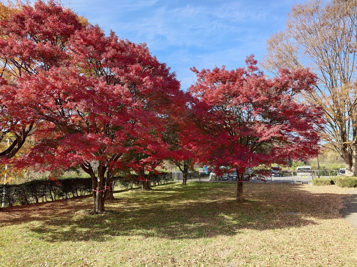 那須高原服務區(那須高原SA) 實景照片 7