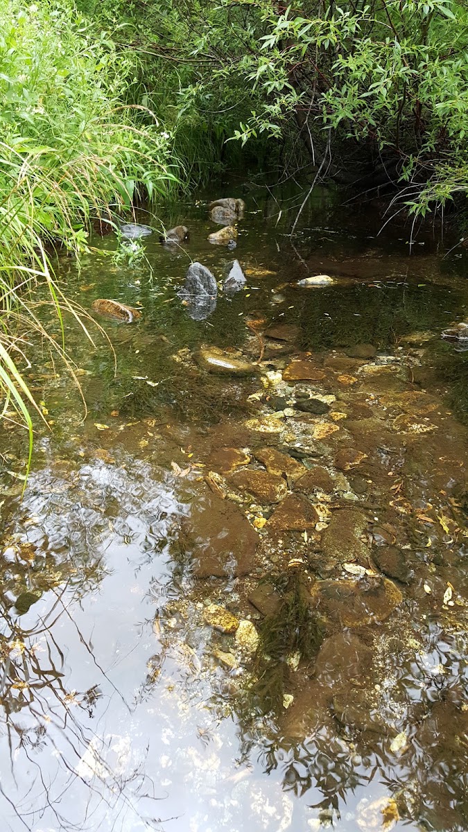 韋斯頓紀念碑(ウエストン碑) 實景照片 9
