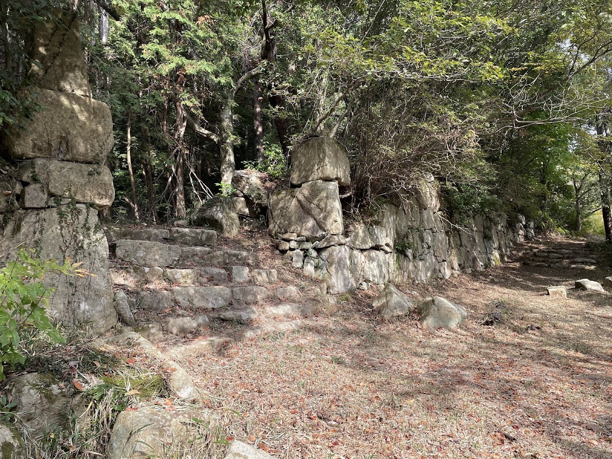 觀音寺城(観音寺城) 實景照片 6
