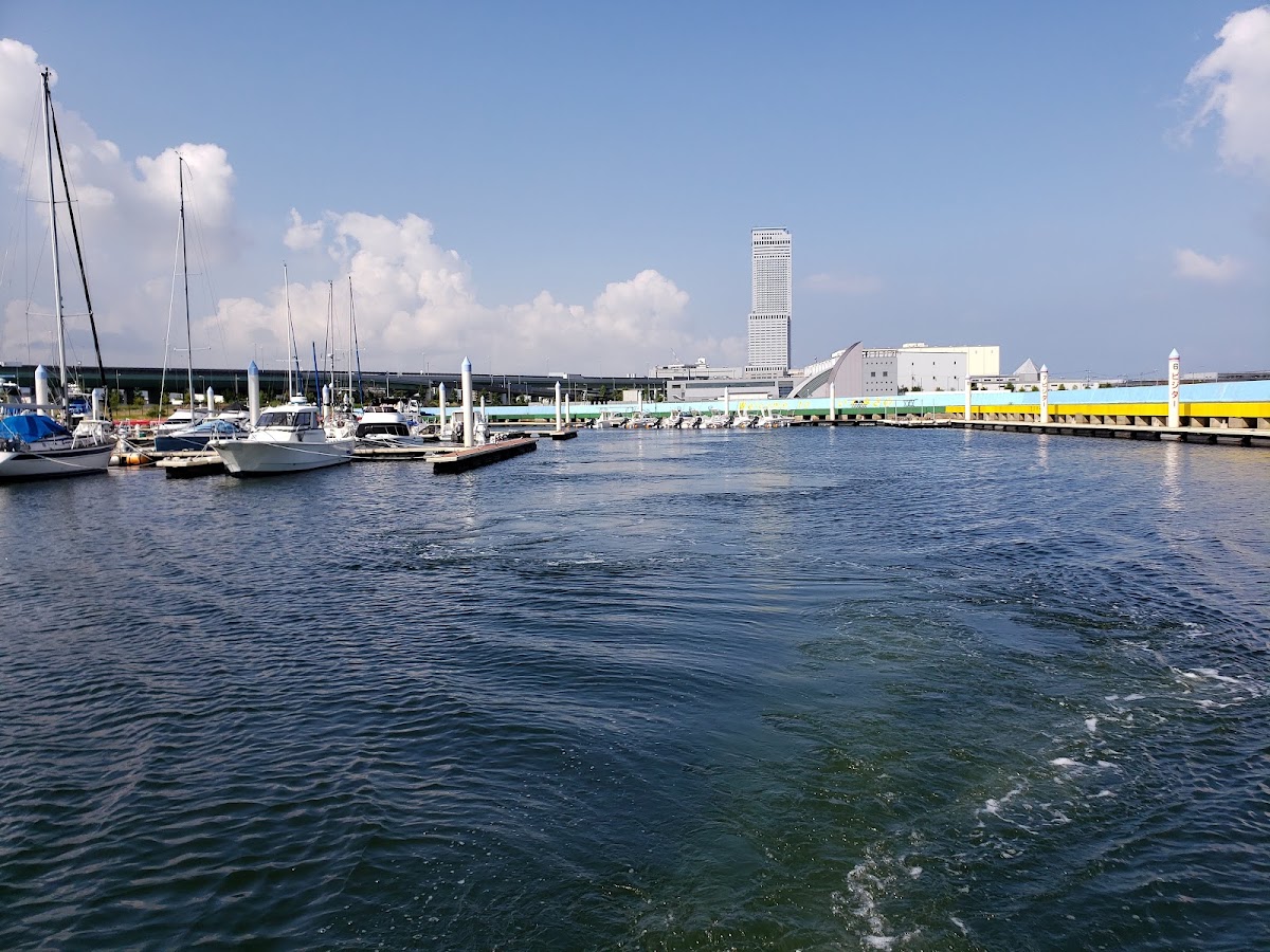 泉佐野關空瑪莉娜海之驛（いずみさの関空マリーナ 海の駅） 實景照片 6