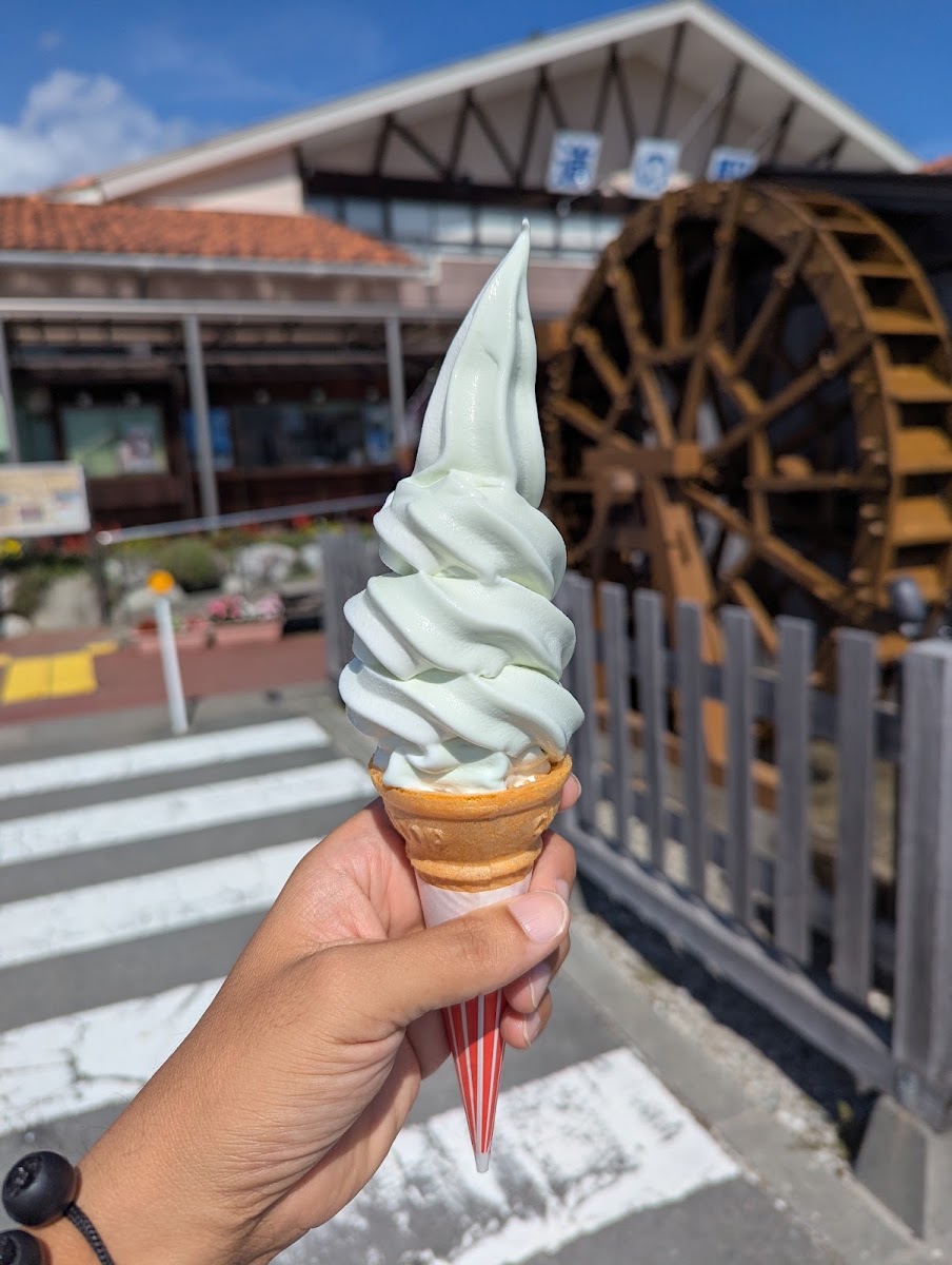 道之驛 花之里飯島(道の駅 花の里いいじま) 實景照片 8