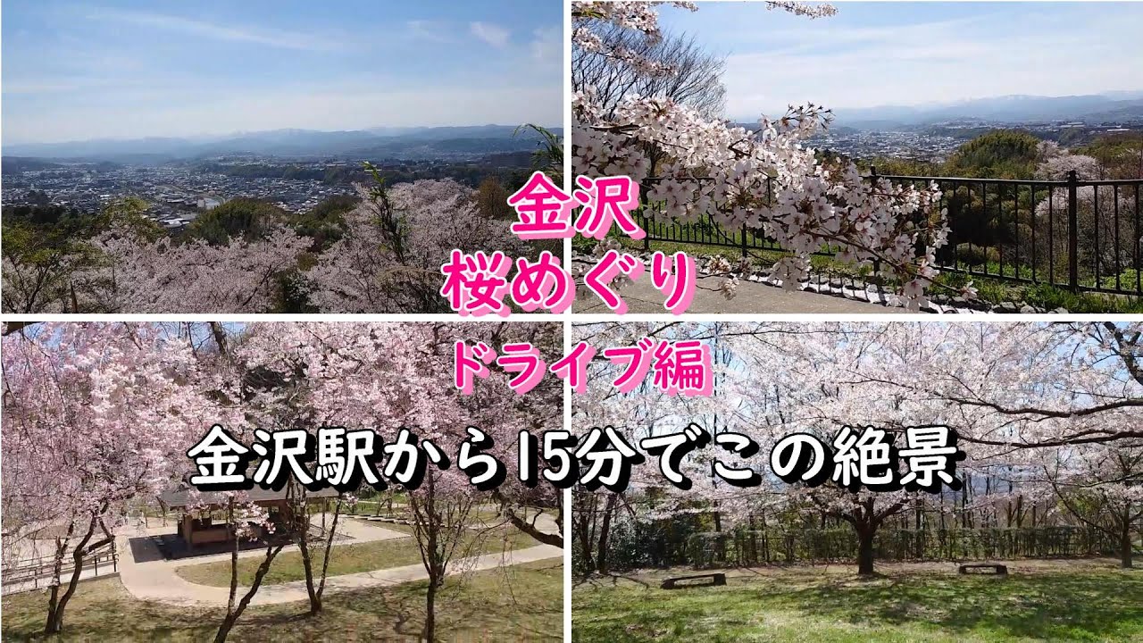 【金沢】桜 ドライブ行くなら卯辰山公園 金沢定番アウトドアスポット